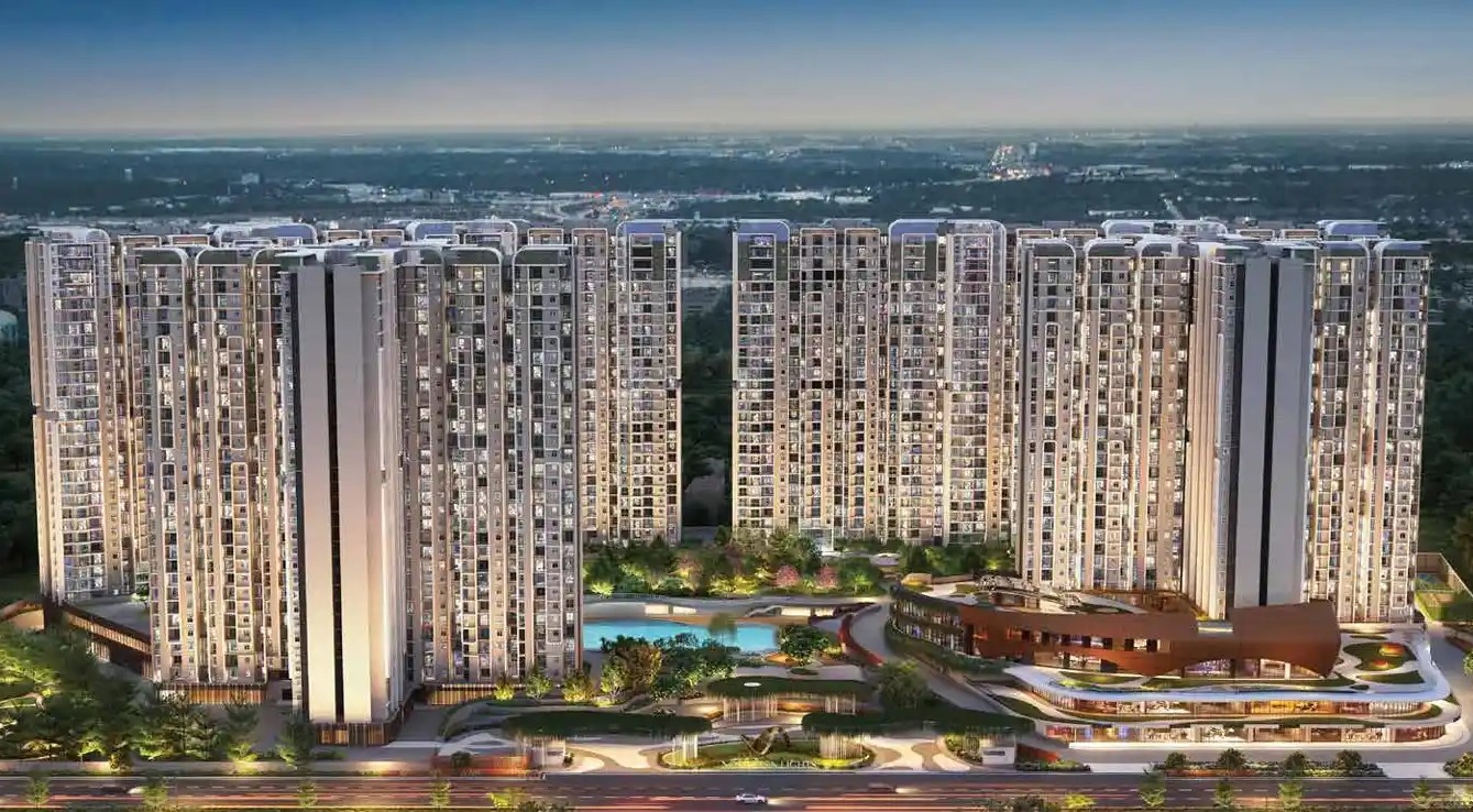 Purva Northern Lights